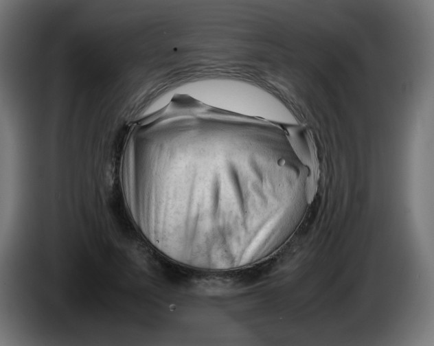 X0000086060691200704132018