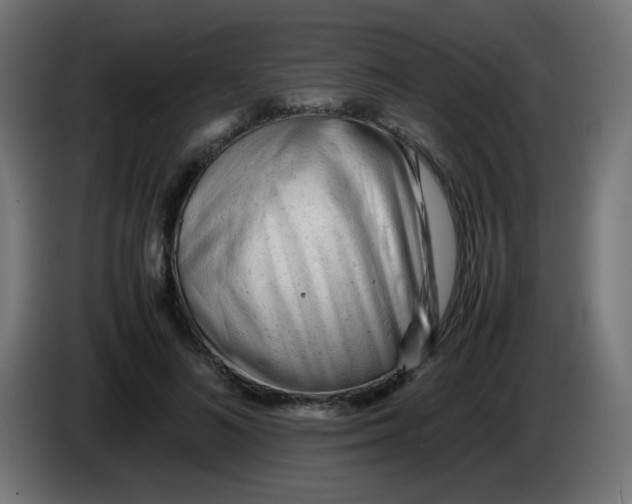 X0000086060692200704132018