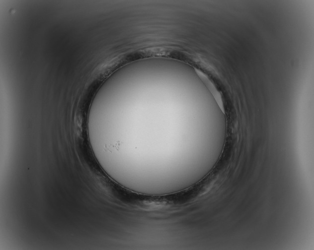 X0000086060693200704132018