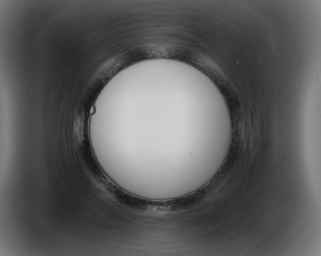 X0000086060694200704132018