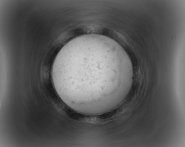 X0000086060695200704132018