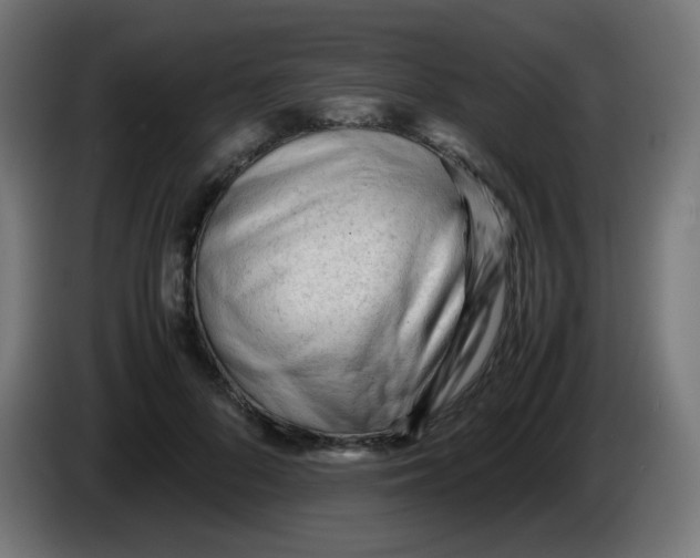 X0000086060696200704132018