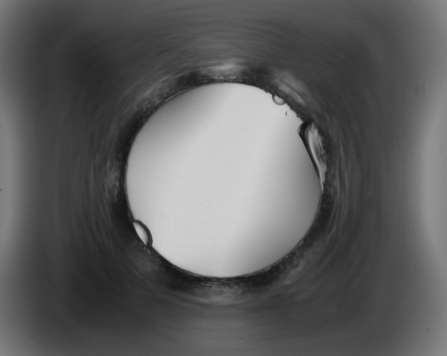 X0000086060697200704132018