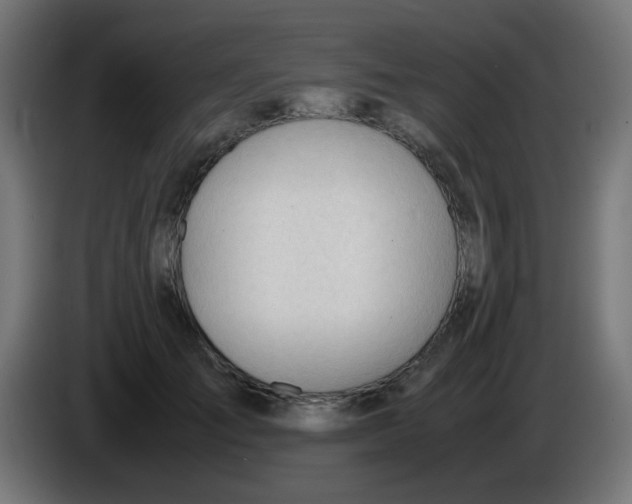 X0000086060701200704132018