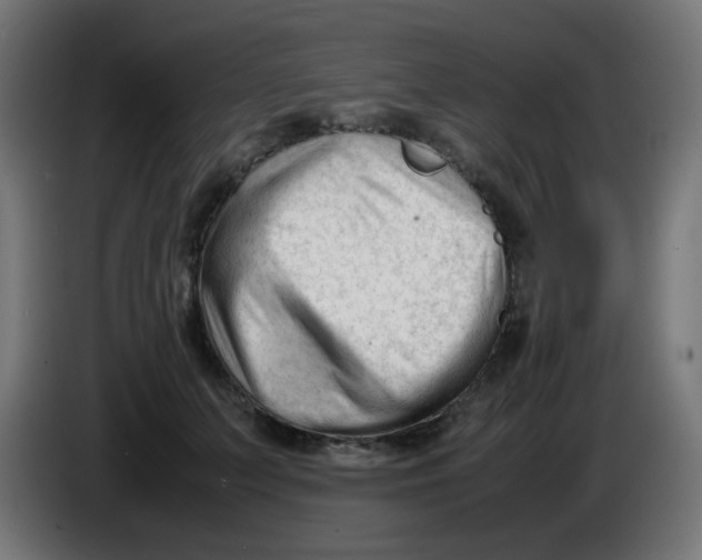 X0000086060703200704132018