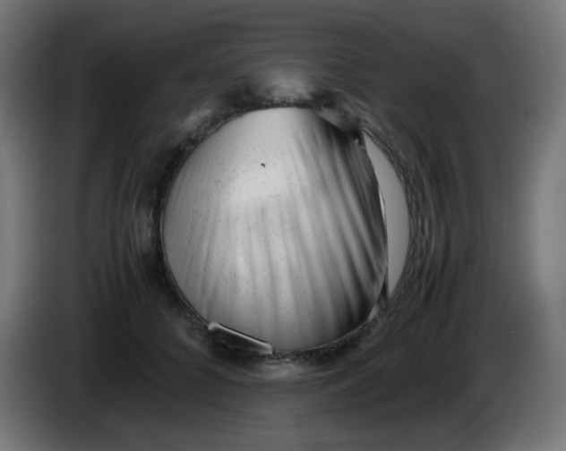 X0000086060704200704132018