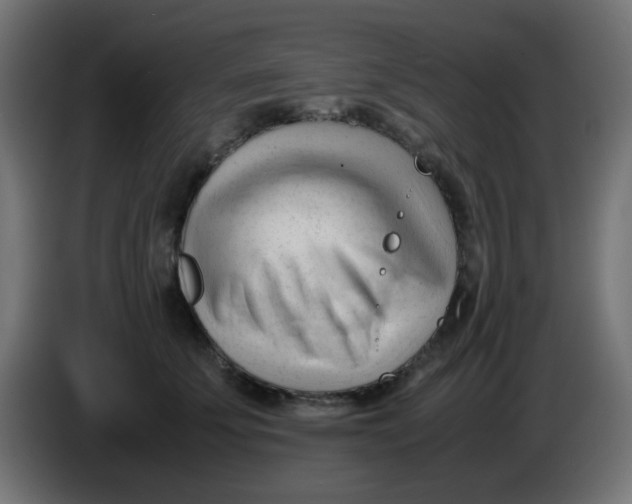 X0000086060707200704132018