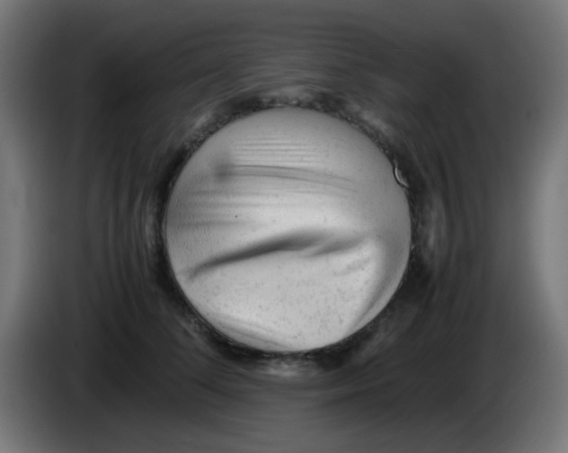 X0000086060708200704132018