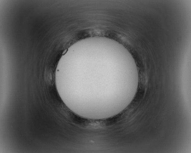 X0000086060709200704132018