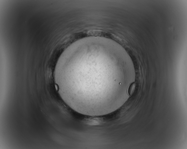 X0000086060711200704132018