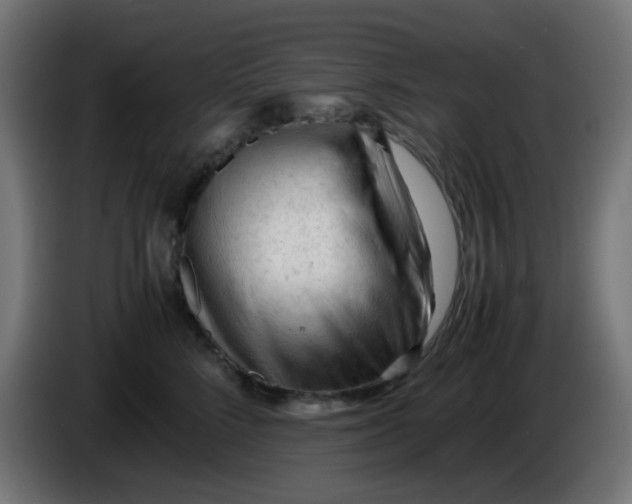 X0000086060712200704132018