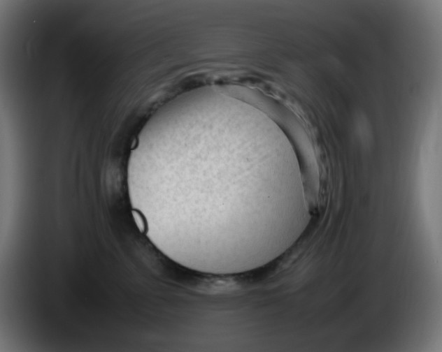 X0000086060715200704132018