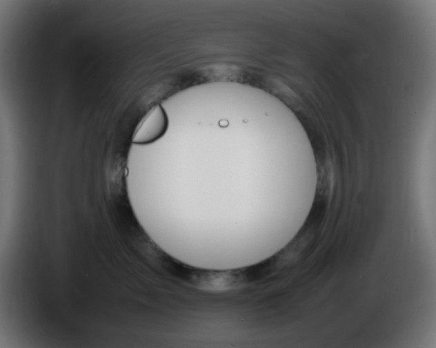 X0000086060717200704132018