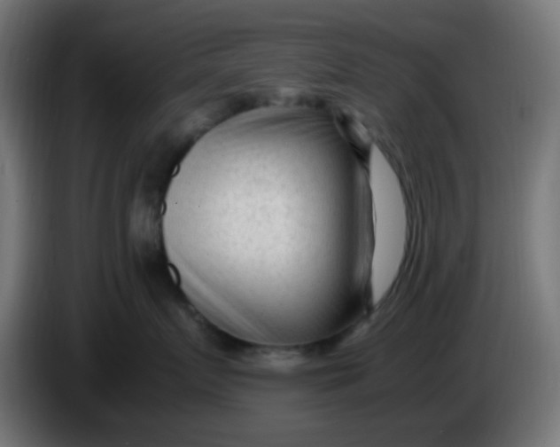 X0000086060719200704132018