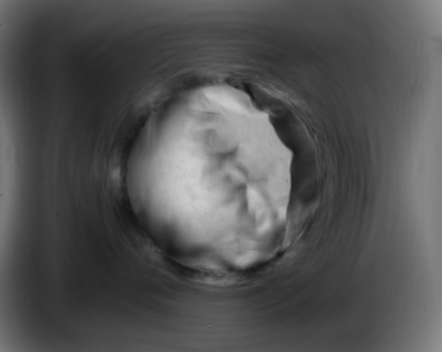 X0000086060720200704132018