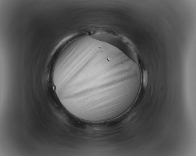 X0000086060723200704132017