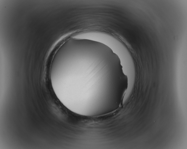 X0000086060724200704132017