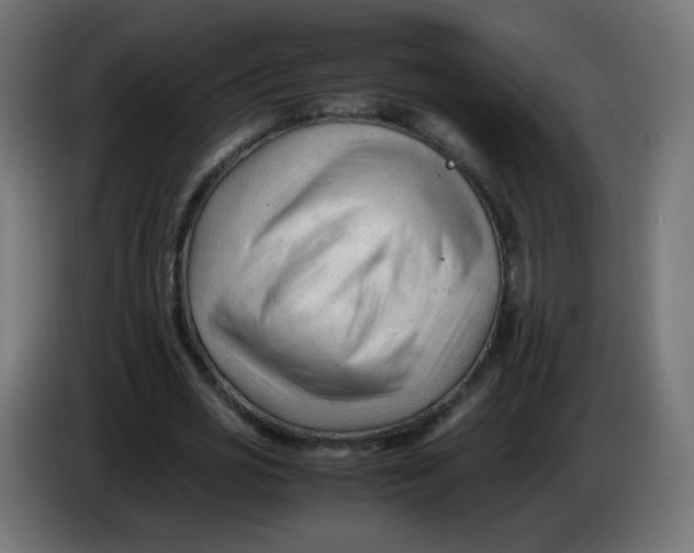 X0000086060725200704132017