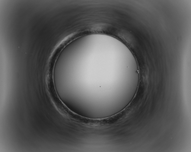 X0000086060728200704132017