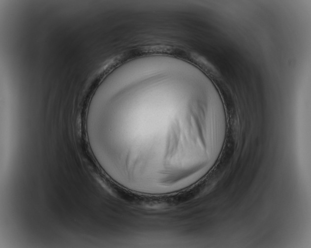 X0000086060729200704132017