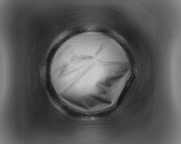 X0000086060730200704132017