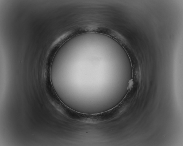 X0000086060732200704132017