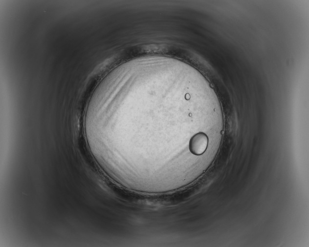 X0000086060733200704132017