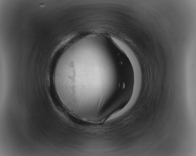 X0000086060734200704132017