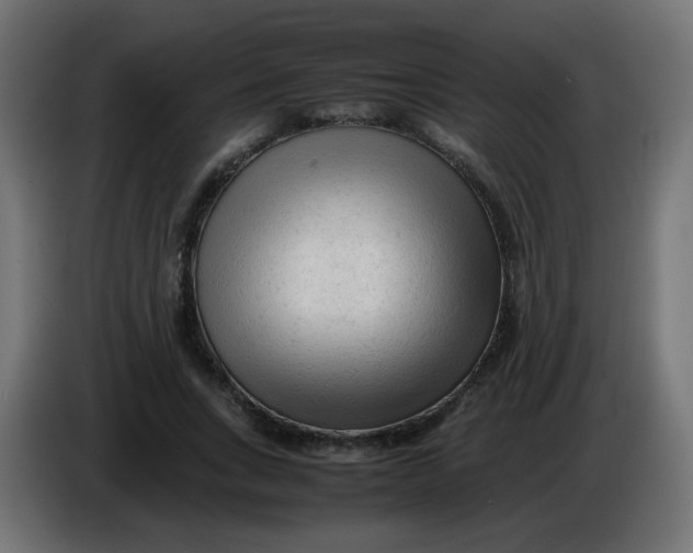 X0000086060735200704132017