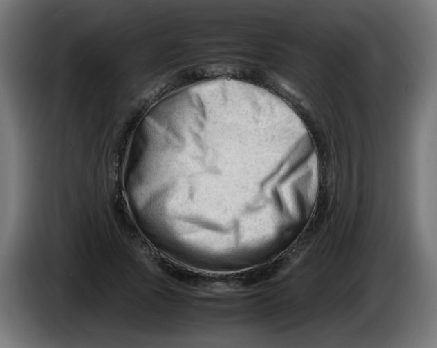 X0000086060737200704132017