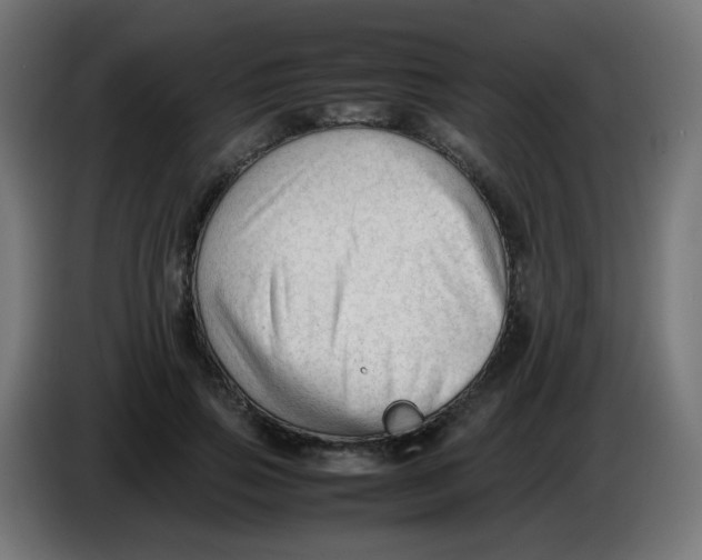 X0000086060741200704132017