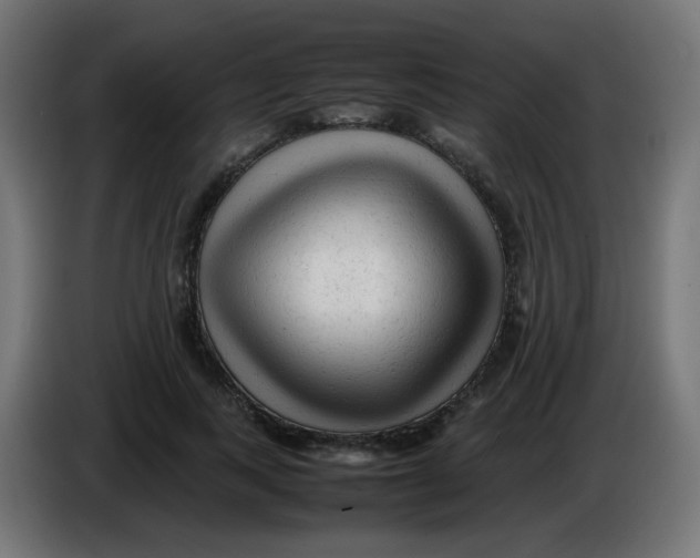 X0000086060743200704132017