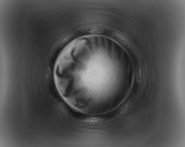 X0000086060748200704132017