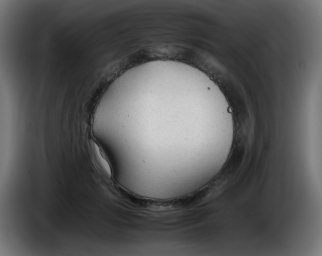 X0000086060749200704132018