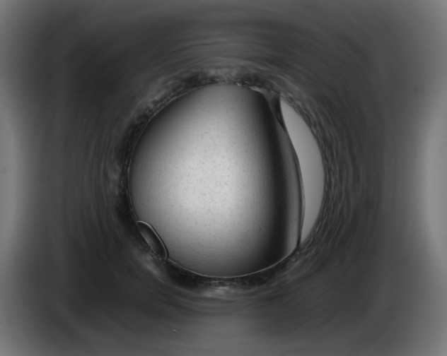 X0000086060750200704132018