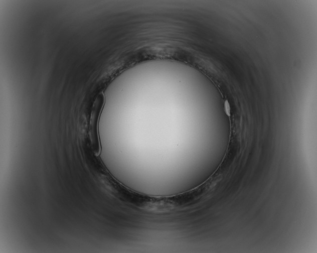 X0000086060752200704132018