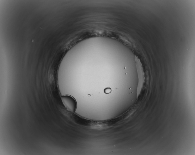 X0000086060754200704132018