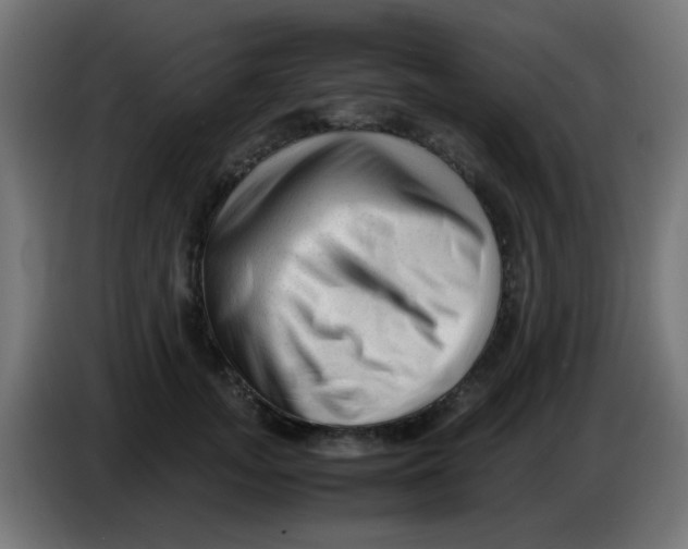 X0000086060755200704132018