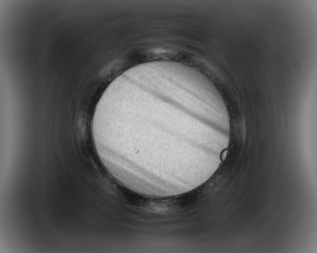 X0000086060757200704132018