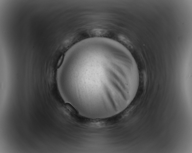 X0000086060760200704132018