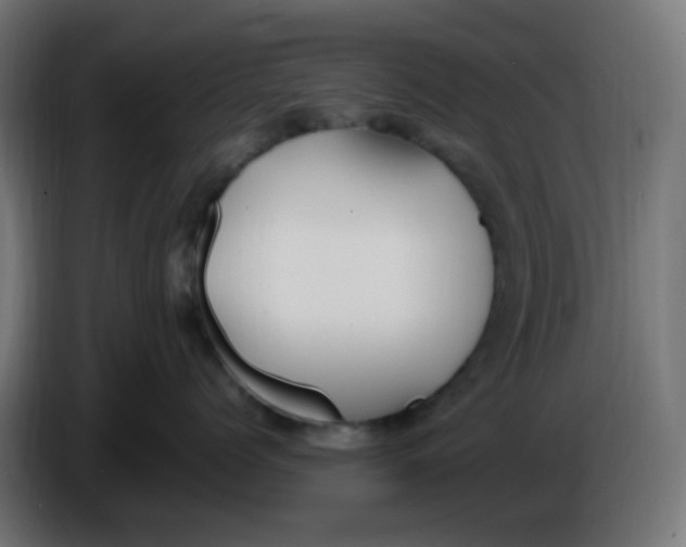 X0000086060768200704132018