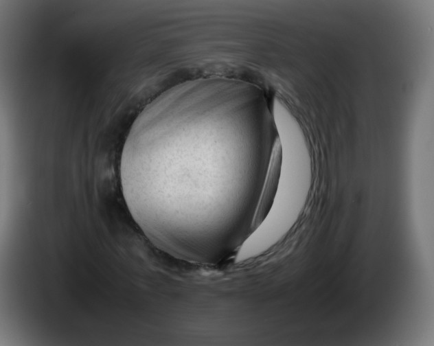 X0000086060771200704132017