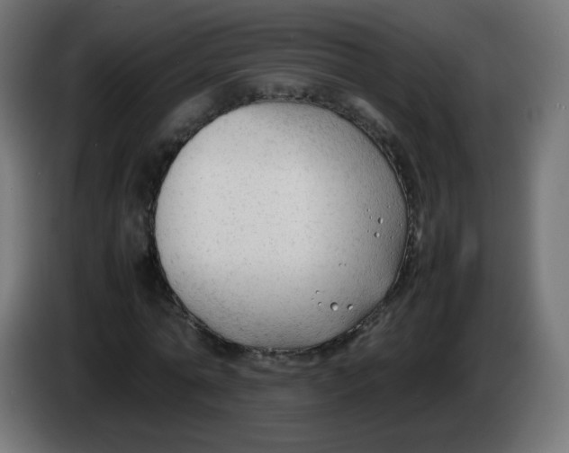 X0000086060774200704132017