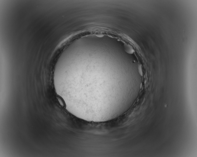 X0000086060775200704132017