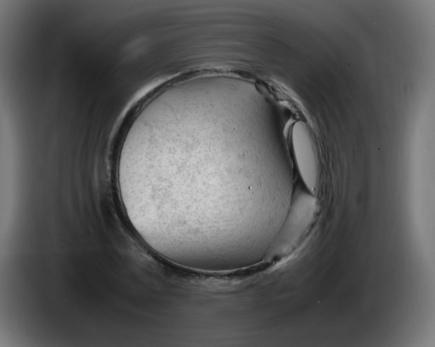 X0000086060779200704132017