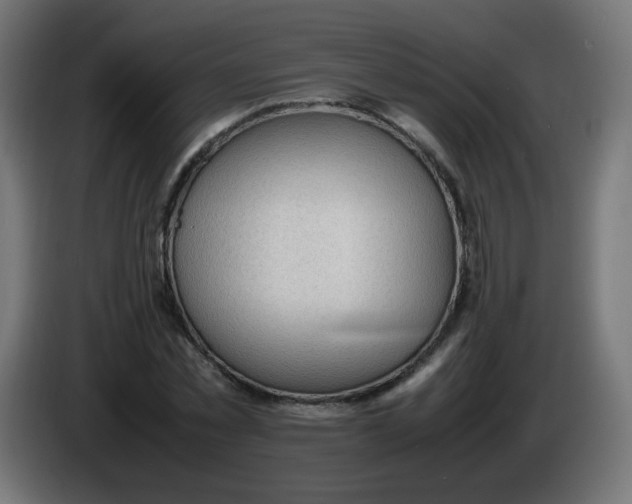 X0000086060781200704132017