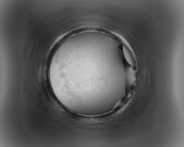 X0000086060783200704132017