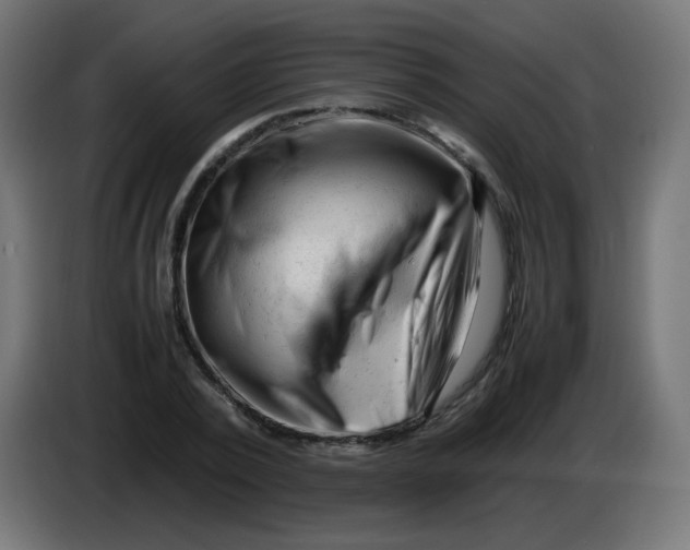 X0000086060784200704132017