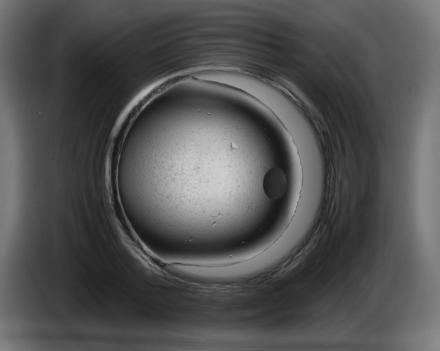 X0000086060788200704132017