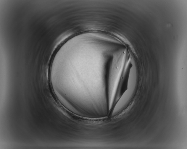 X0000086060790200704132017